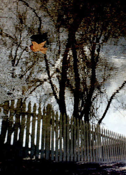 puddle