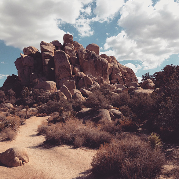 Rocks - Joshua Tree Rocks