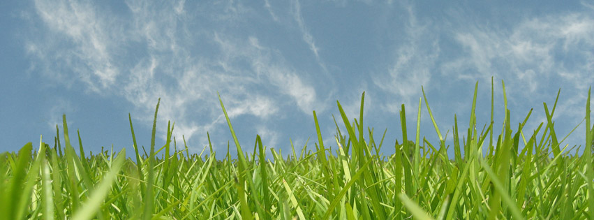 Greener Grass